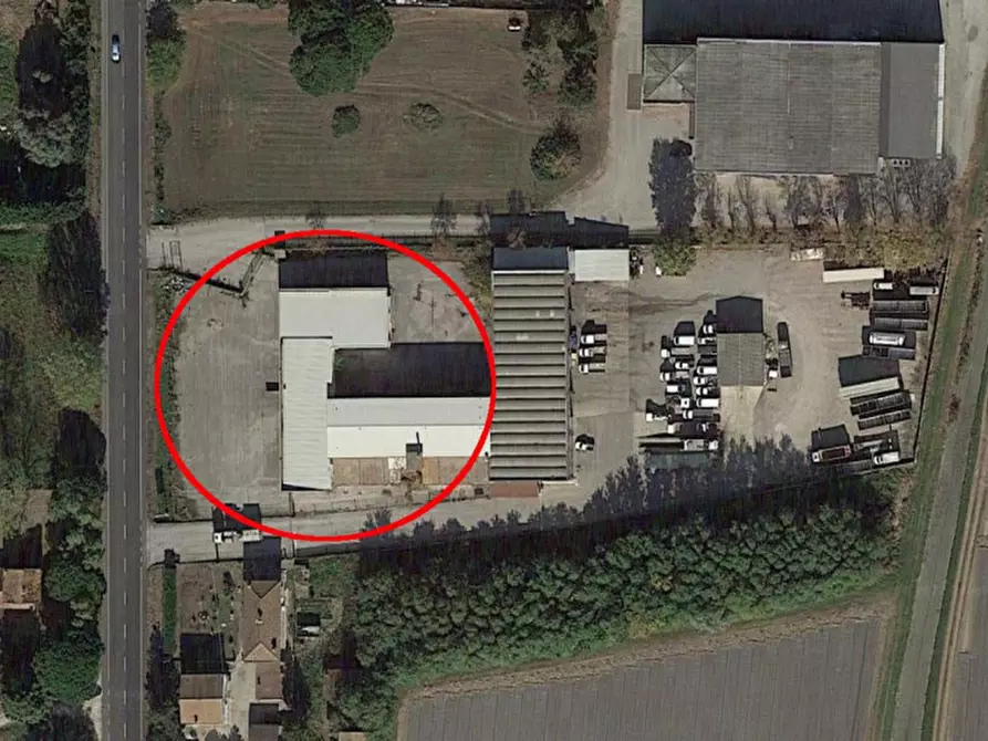 Immagine 2 di Capannone industriale in vendita  in Località Lovara, Strada Romea 309, N. snc a Codigoro