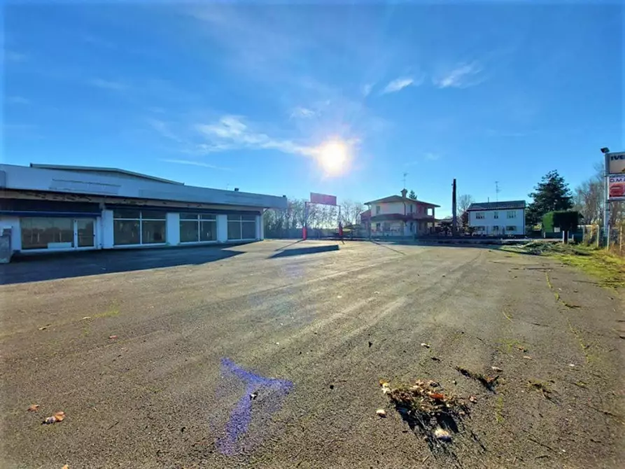 Immagine 3 di Capannone industriale in vendita  in Località Lovara, Strada Romea 309, N. snc a Codigoro