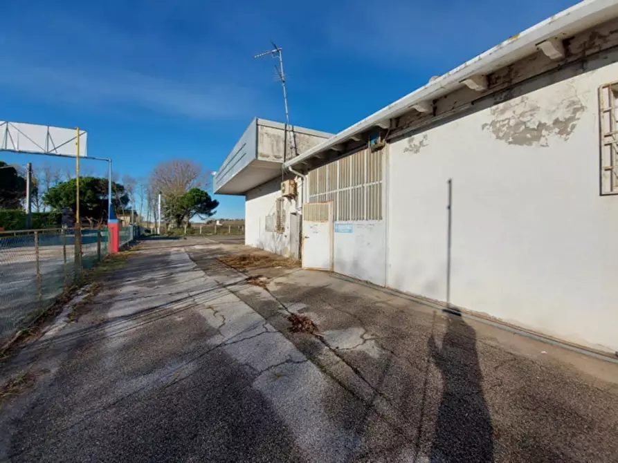 Immagine 4 di Capannone industriale in vendita  in Località Lovara, Strada Romea 309, N. snc a Codigoro