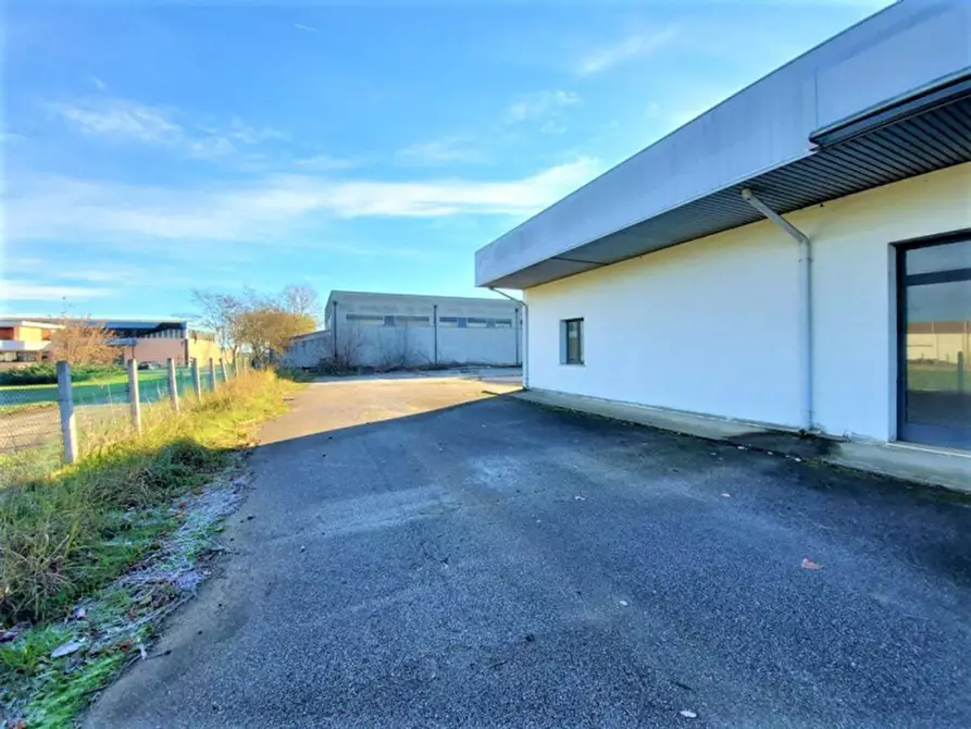 Immagine 6 di Capannone industriale in vendita  in Località Lovara, Strada Romea 309, N. snc a Codigoro