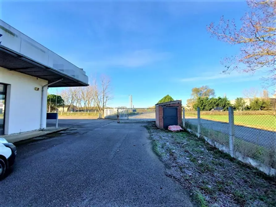 Immagine 7 di Capannone industriale in vendita  in Località Lovara, Strada Romea 309, N. snc a Codigoro