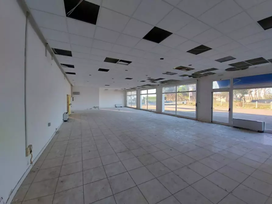 Immagine 11 di Capannone industriale in vendita  in Località Lovara, Strada Romea 309, N. snc a Codigoro