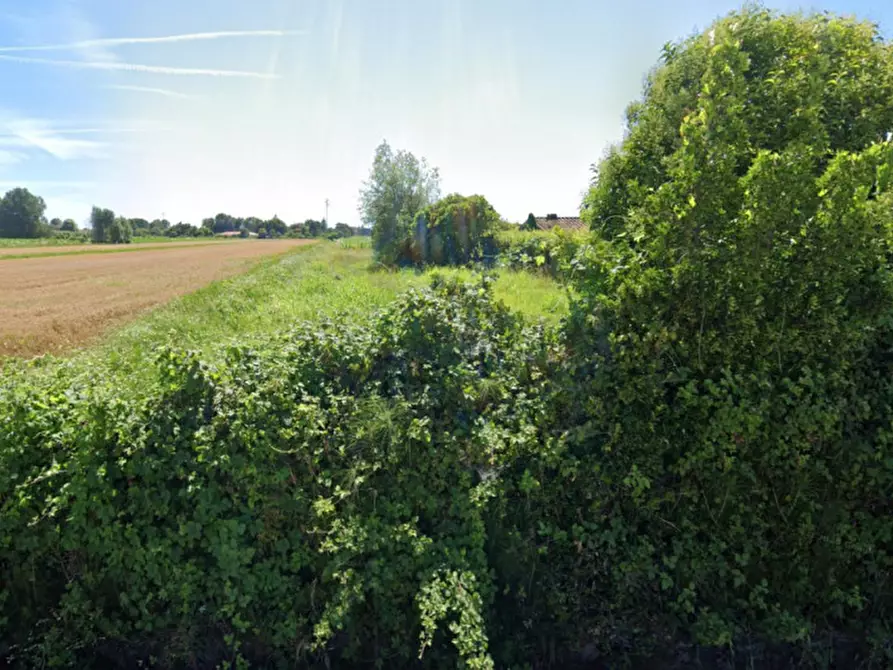 Immagine 4 di Terreno in vendita  in Via Cala Grande, Massarosa LU, Italia a Massarosa