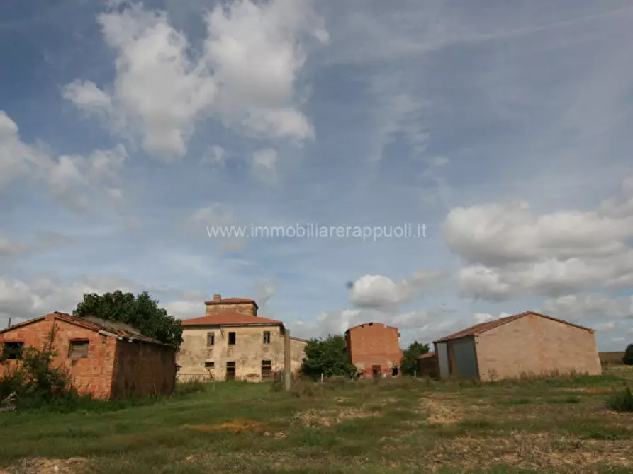 Immagine 2 di Rustico / casale in vendita  a Sinalunga