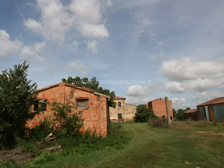 Immagine 3 di Rustico / casale in vendita  a Sinalunga