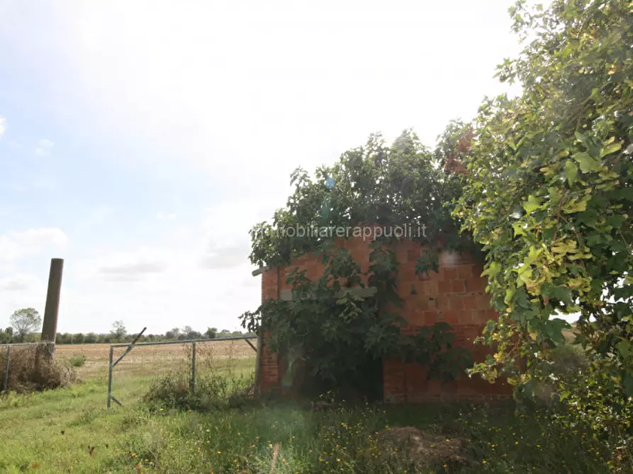 Immagine 4 di Rustico / casale in vendita  a Sinalunga