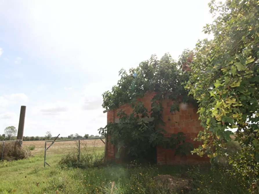 Immagine 5 di Rustico / casale in vendita  a Sinalunga