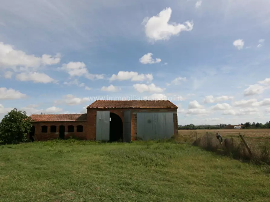 Immagine 5 di Rustico / casale in vendita  a Sinalunga