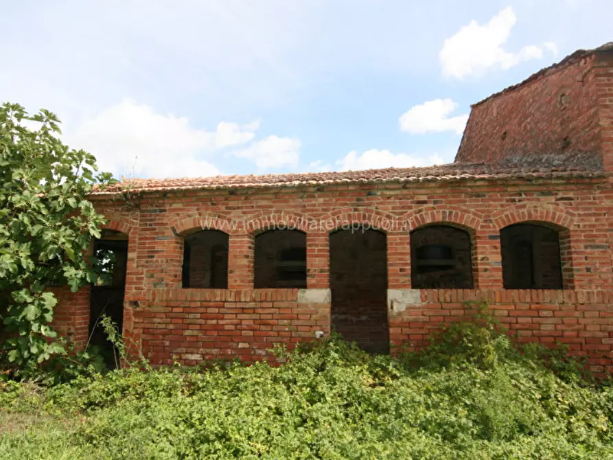 Immagine 7 di Rustico / casale in vendita  a Sinalunga