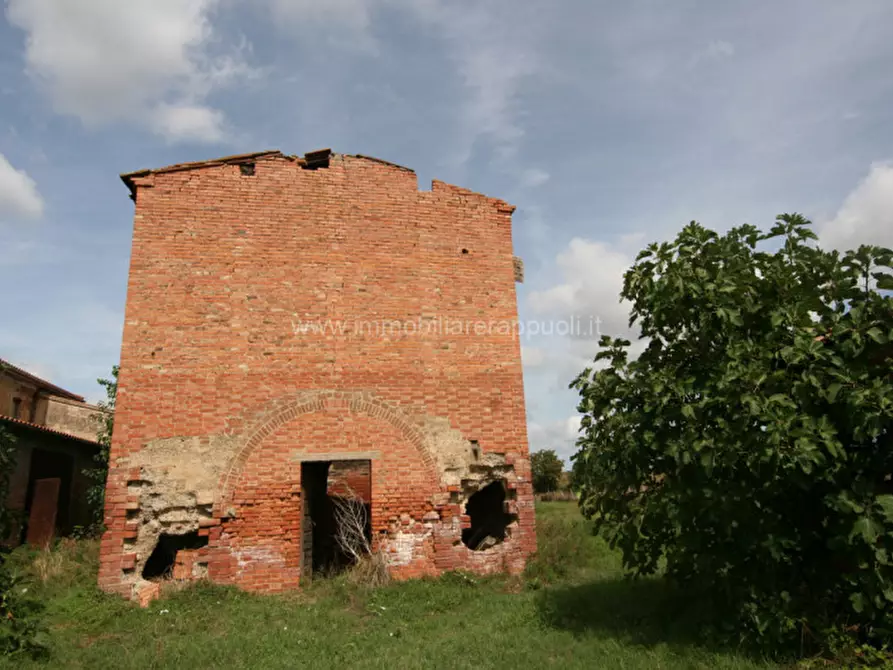 Immagine 8 di Rustico / casale in vendita  a Sinalunga