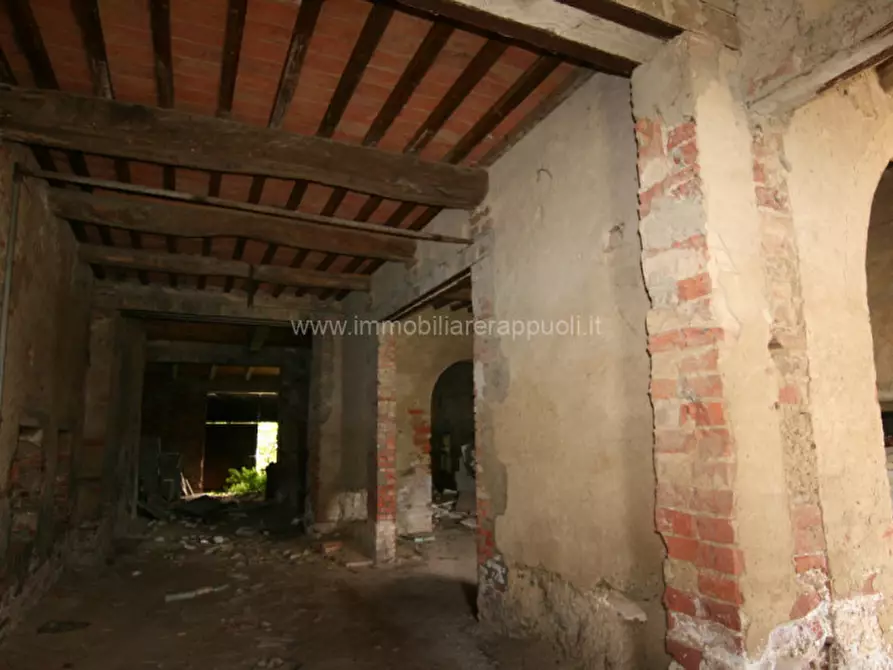 Immagine 12 di Rustico / casale in vendita  a Sinalunga