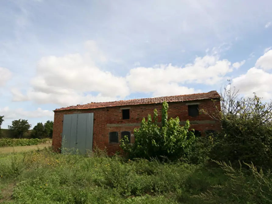 Immagine 15 di Rustico / casale in vendita  a Sinalunga