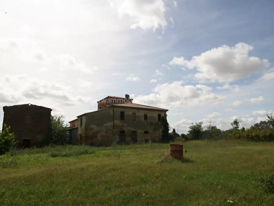 Immagine 17 di Rustico / casale in vendita  a Sinalunga