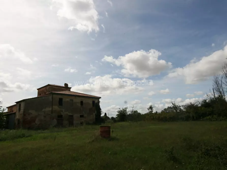 Immagine 19 di Rustico / casale in vendita  a Sinalunga