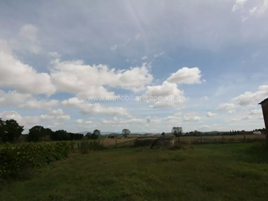 Immagine 20 di Rustico / casale in vendita  a Sinalunga