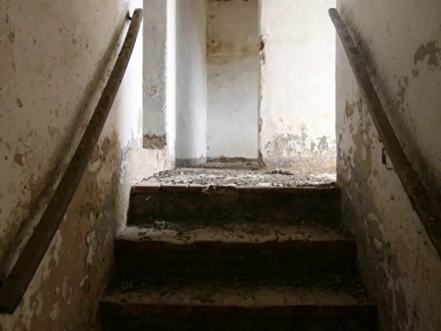 Immagine 21 di Rustico / casale in vendita  a Sinalunga
