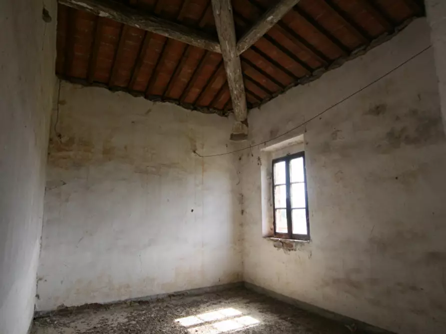 Immagine 22 di Rustico / casale in vendita  a Sinalunga