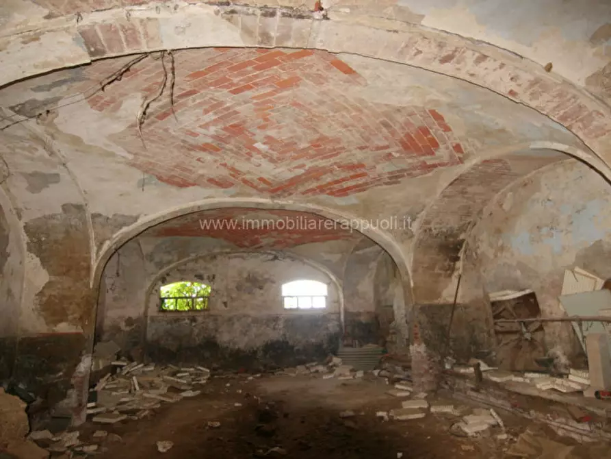 Immagine 23 di Rustico / casale in vendita  a Sinalunga