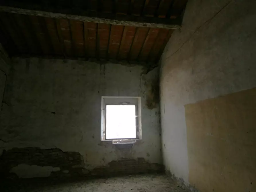 Immagine 23 di Rustico / casale in vendita  a Sinalunga