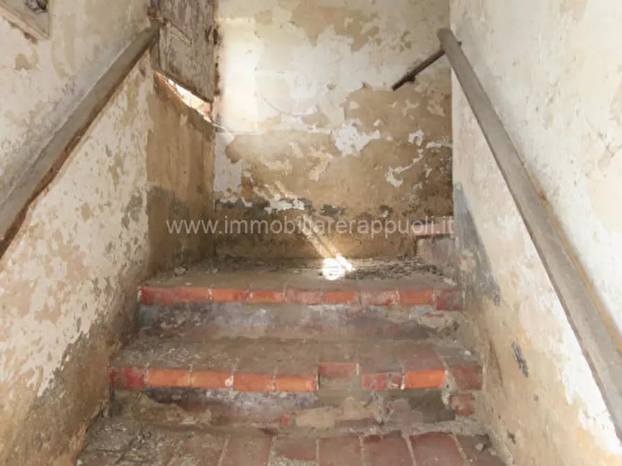 Immagine 24 di Rustico / casale in vendita  a Sinalunga