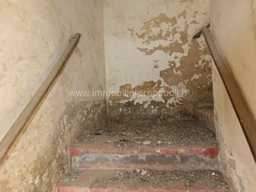 Immagine 25 di Rustico / casale in vendita  a Sinalunga