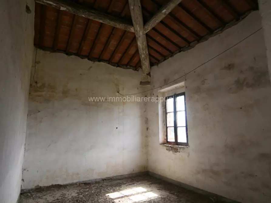 Immagine 27 di Rustico / casale in vendita  a Sinalunga