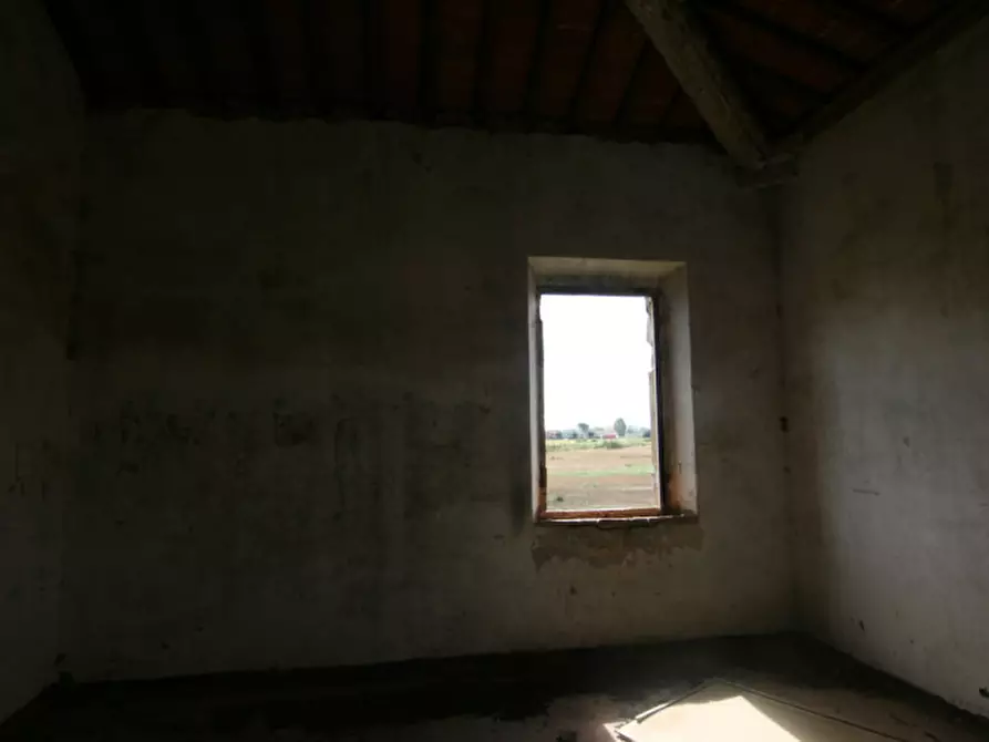 Immagine 27 di Rustico / casale in vendita  a Sinalunga