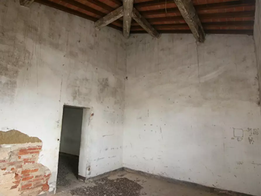 Immagine 29 di Rustico / casale in vendita  a Sinalunga