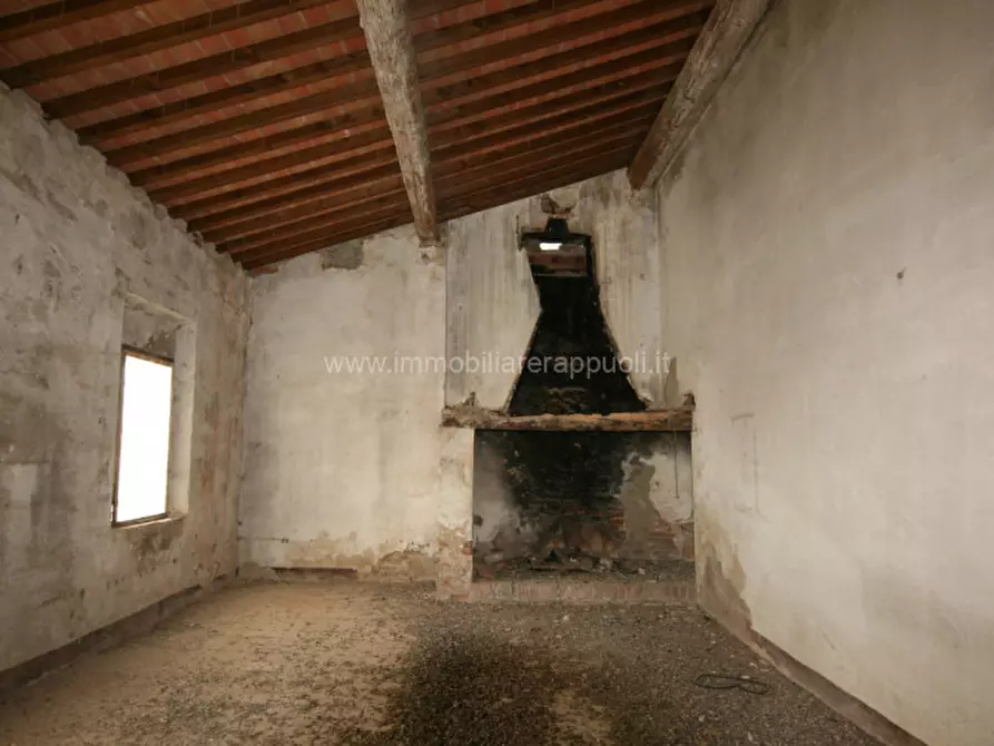 Immagine 31 di Rustico / casale in vendita  a Sinalunga