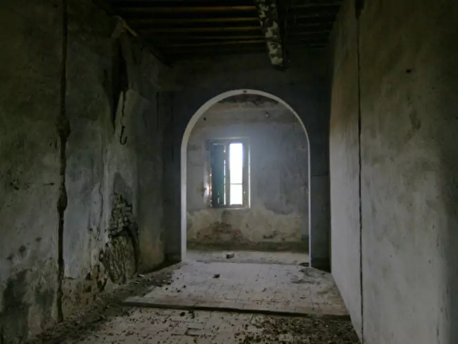 Immagine 31 di Rustico / casale in vendita  a Sinalunga