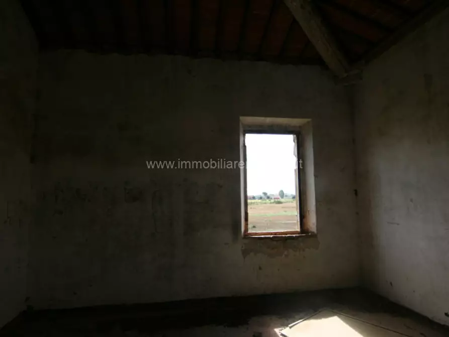 Immagine 32 di Rustico / casale in vendita  a Sinalunga