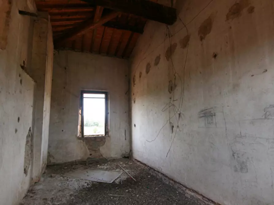 Immagine 33 di Rustico / casale in vendita  a Sinalunga