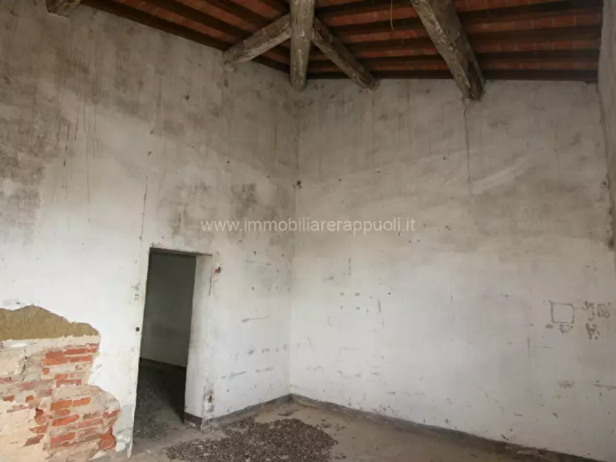 Immagine 34 di Rustico / casale in vendita  a Sinalunga