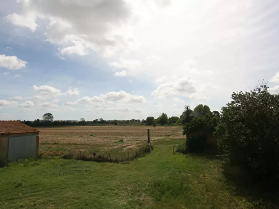 Immagine 35 di Rustico / casale in vendita  a Sinalunga