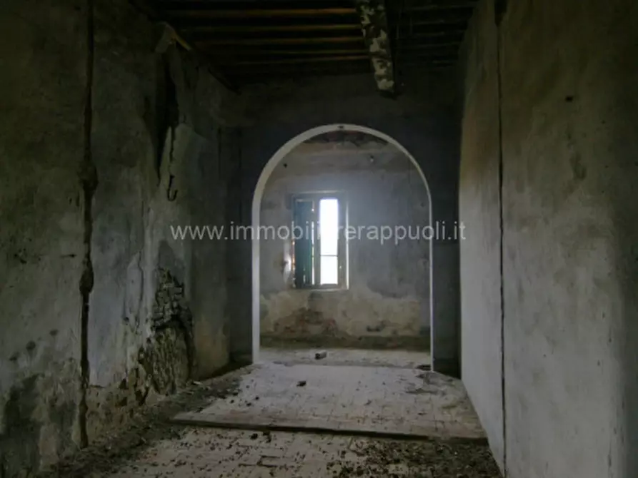Immagine 36 di Rustico / casale in vendita  a Sinalunga