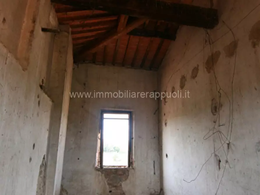 Immagine 39 di Rustico / casale in vendita  a Sinalunga