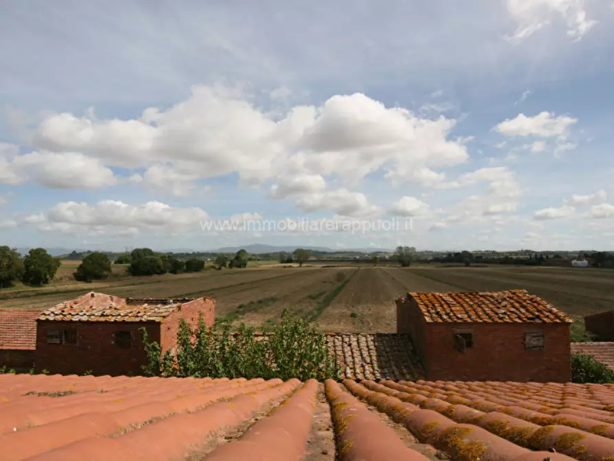 Immagine 40 di Rustico / casale in vendita  a Sinalunga