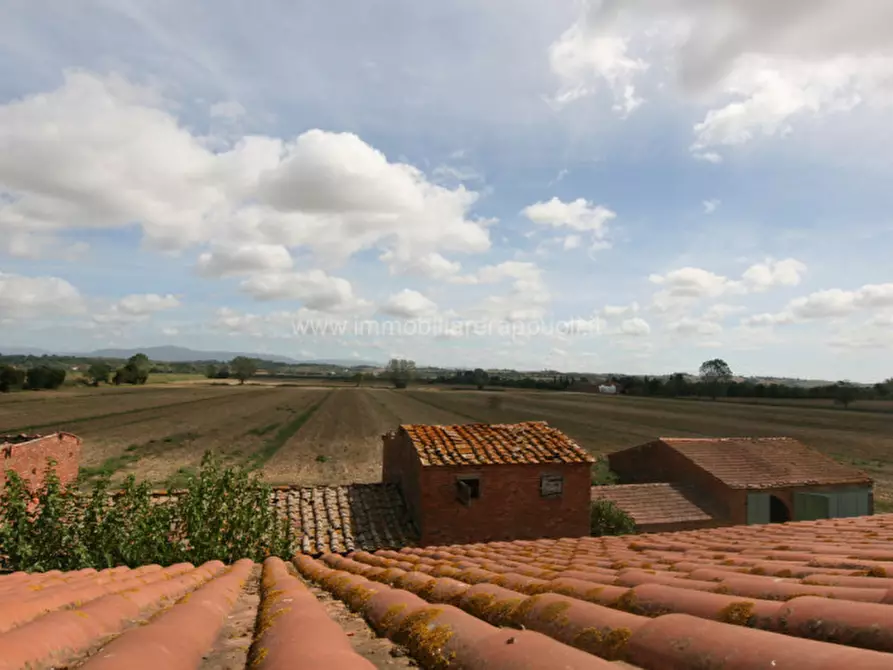 Immagine 41 di Rustico / casale in vendita  a Sinalunga