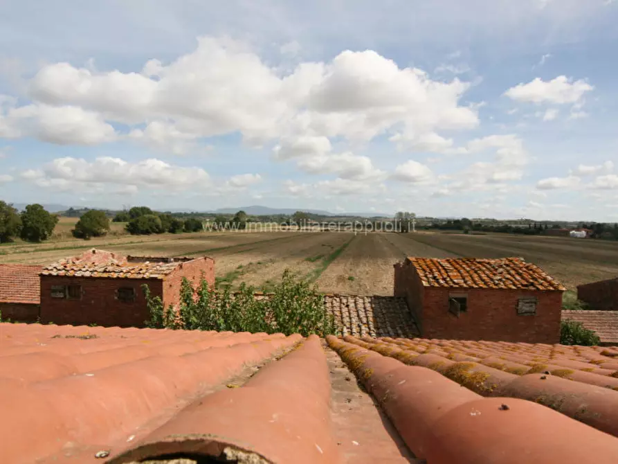 Immagine 42 di Rustico / casale in vendita  a Sinalunga