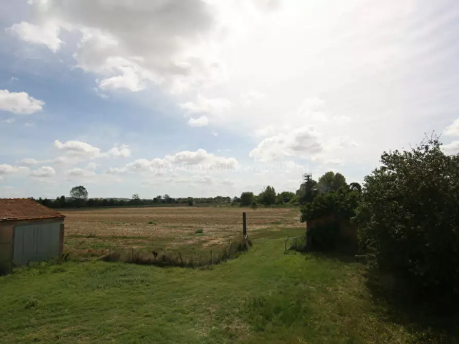 Immagine 43 di Rustico / casale in vendita  a Sinalunga