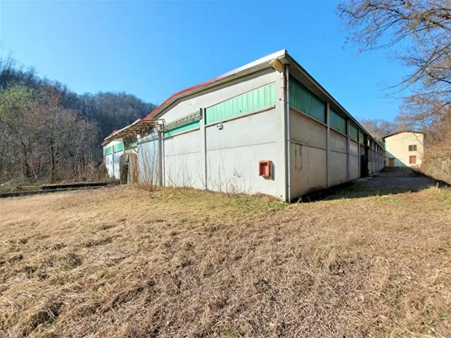 Immagine 3 di Capannone industriale in vendita  in Frazione Molinetto, N. 6 a Strona