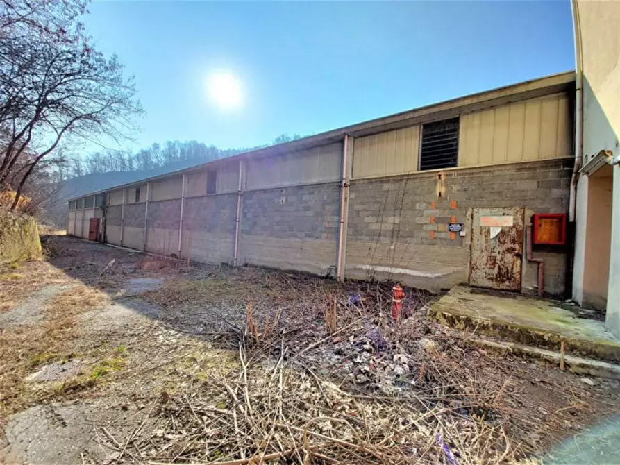 Immagine 5 di Capannone industriale in vendita  in Frazione Molinetto, N. 6 a Strona