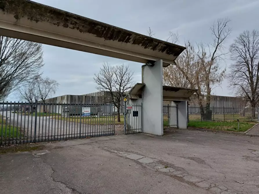 Immagine 4 di Capannone industriale in vendita  in Via Fornace, N. 3 a Isola Dovarese