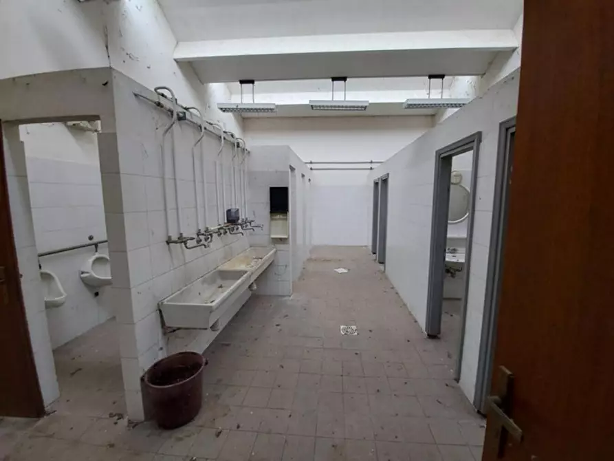 Immagine 18 di Capannone industriale in vendita  in Via Fornace, N. 3 a Isola Dovarese