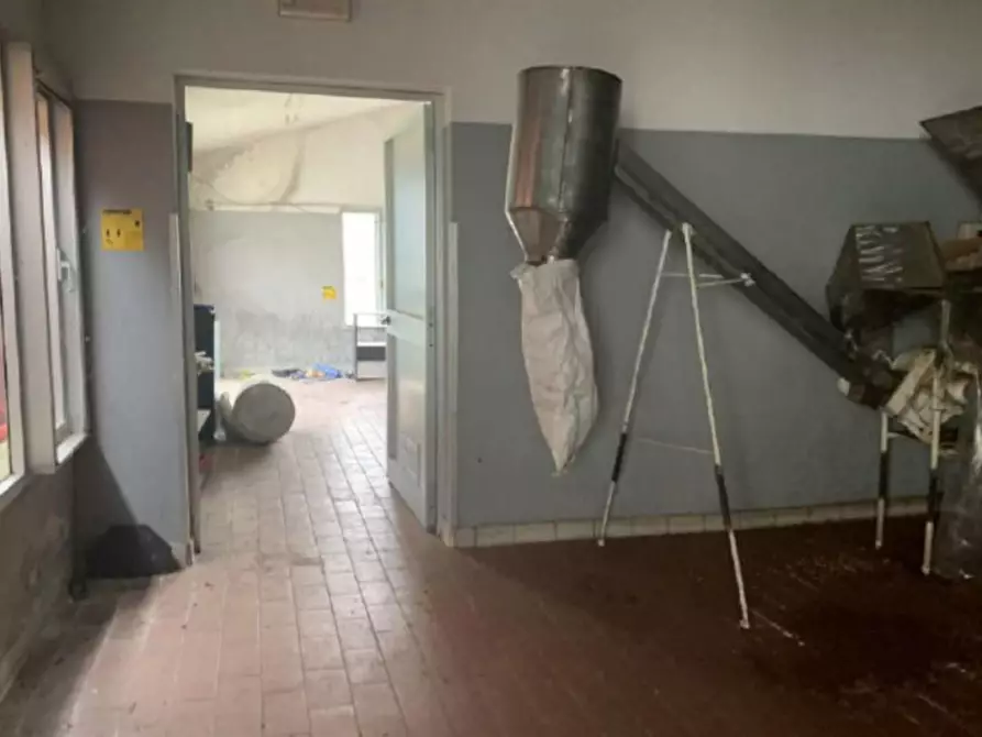 Immagine 5 di Capannone industriale in vendita  in Via Toniolo, N. 192 a San Giuliano Terme