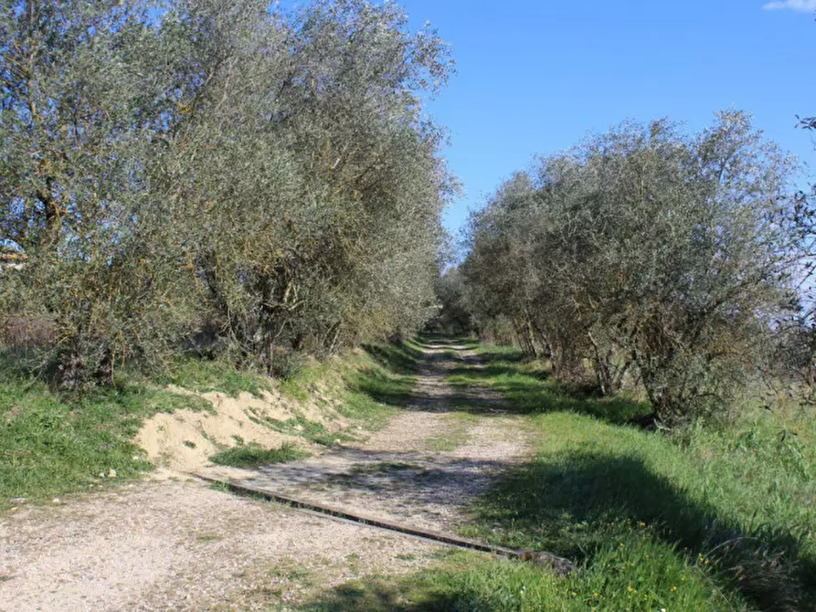 Immagine 14 di Rustico / casale in vendita  in Via Della Scala, Snc - Cascina Ulignano, N. 64 a San Gimignano