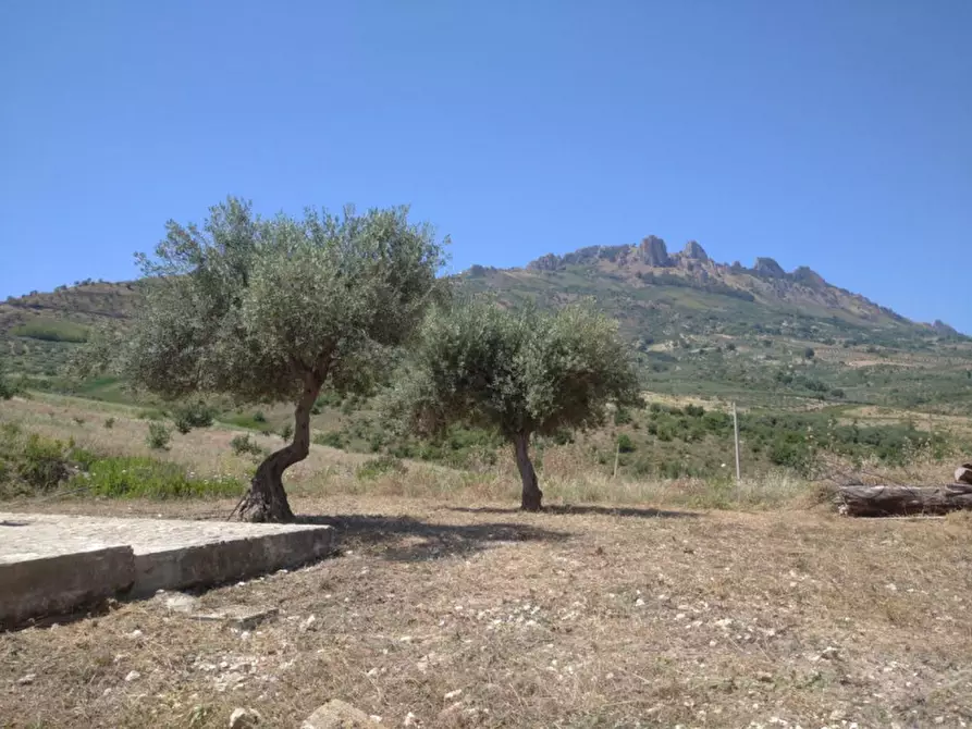 Immagine 3 di Casa indipendente in vendita  in Contrada Callisi a Caltabellotta