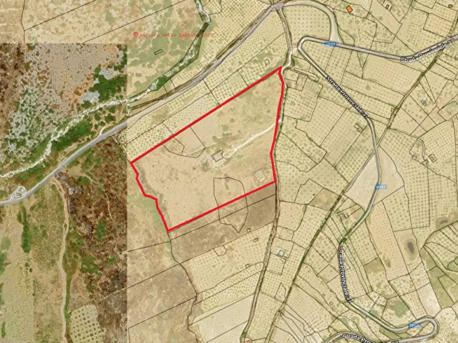 Immagine 16 di Casa indipendente in vendita  in Contrada Callisi a Caltabellotta