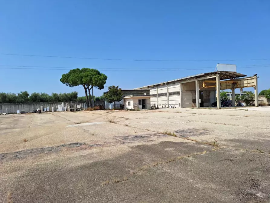 Immagine 3 di Capannone industriale in vendita  in Stradella Triggiani, 8, 70020 Bitritto BA, Italia a Bitritto