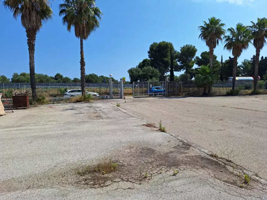 Immagine 5 di Capannone industriale in vendita  in Stradella Triggiani, 8, 70020 Bitritto BA, Italia a Bitritto